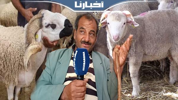 فلاح: هذا هو الفرق الحقيقي بين الكبش المغربي والإسباني والمواطن خصو يعرف شنو يختار والخير موجود